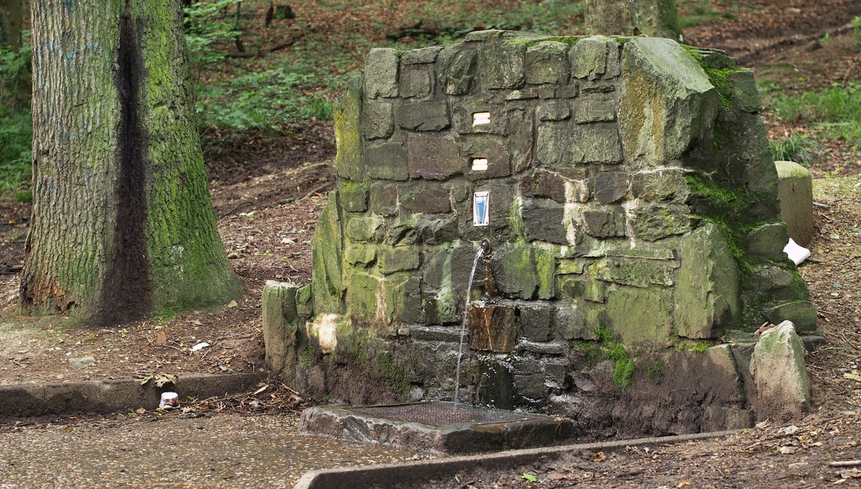 Brunnen im Adamstal stillgelegt: Vandalismus und Kosten führen zur Abschaltung
