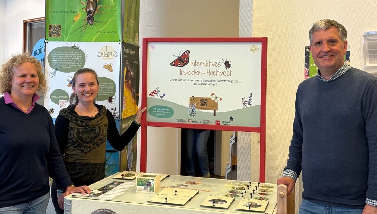 Infotrail der Johannes Gutenberg Universität bringt Insektenvielfalt in die Mainzer Innenstadt
