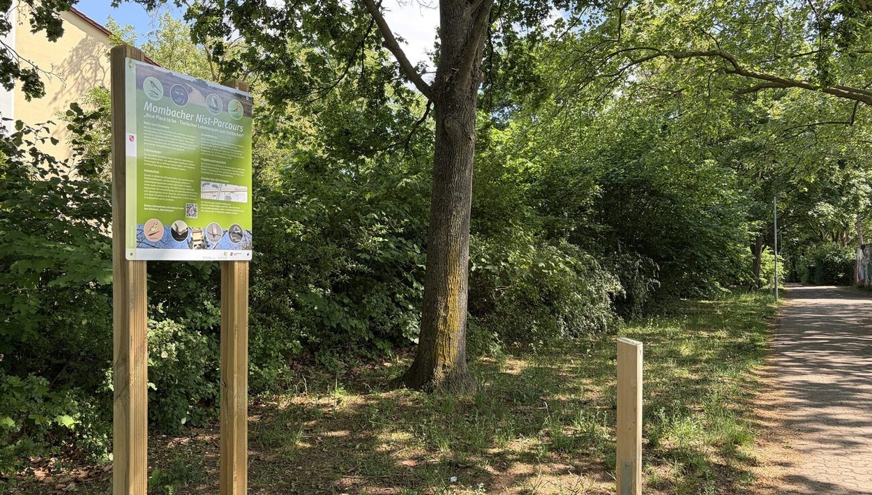 Nisthilfen für Vögel, Fledermäuse und Bilche entlang des Käthchen-Frödert-Wegs in Mainz-Mombach